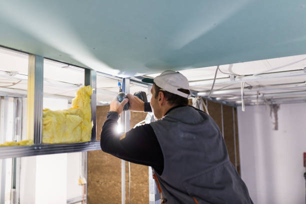 Best Best Insulation Companies  in Island Park, NY