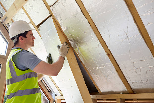 Best Insulation Removal  in Island Park, NY