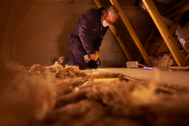 Best Local Insulation Services  in Island Park, NY