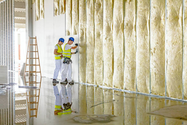 Best Professional Insulation Contractor  in Island Park, NY